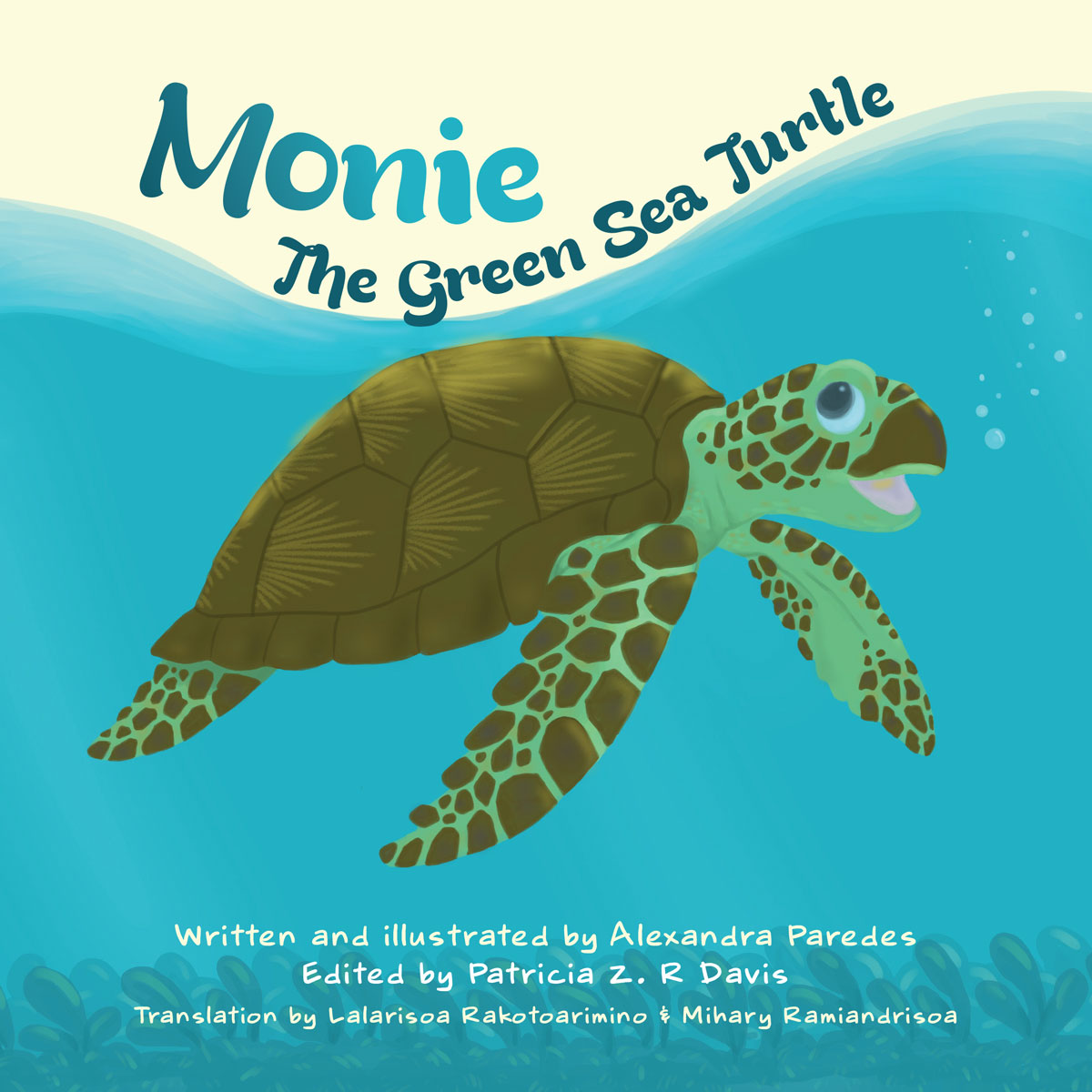 Monie The Green Sea Turtle