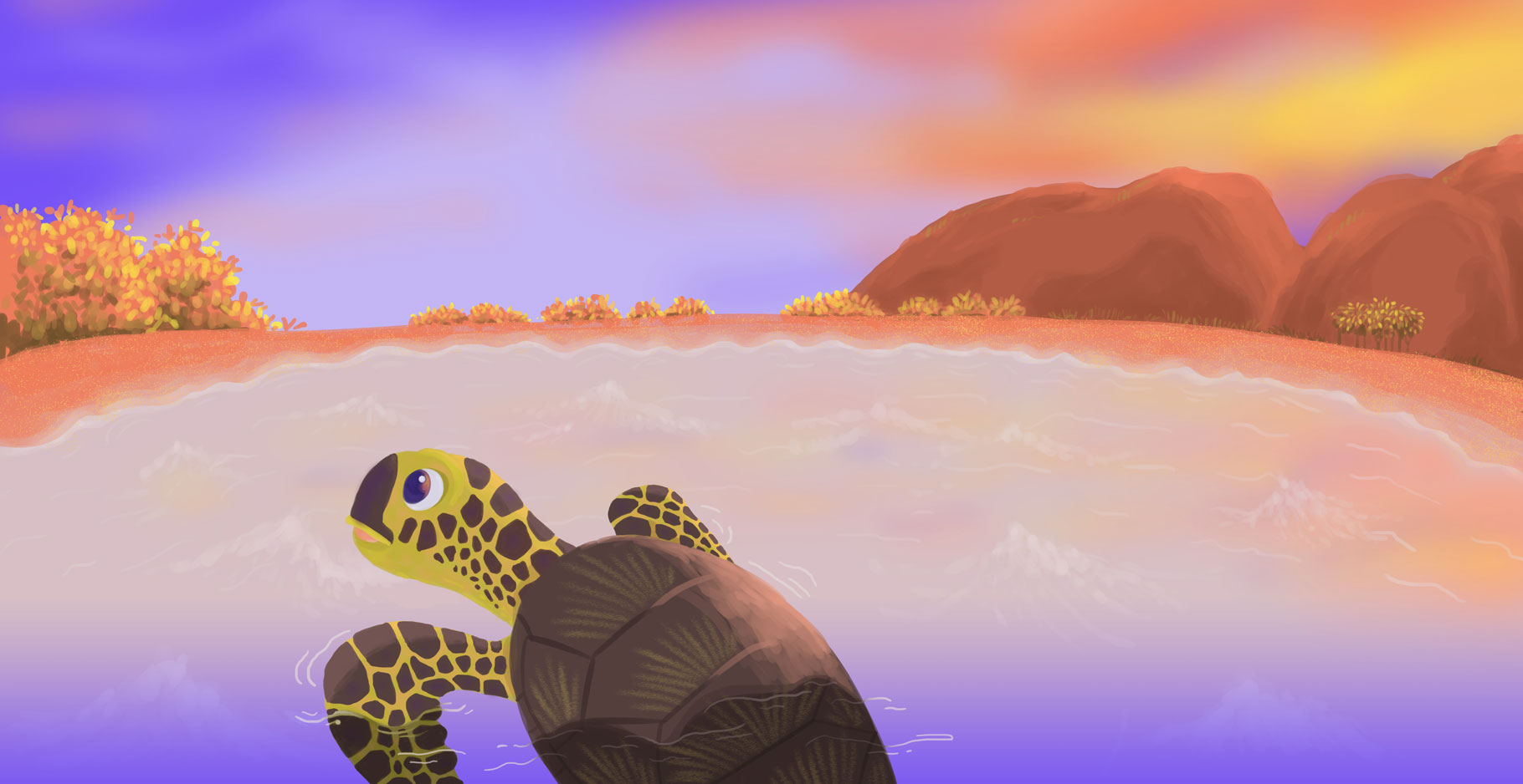 Monie The Green Sea Turtle Monie The Green Sea Turtle