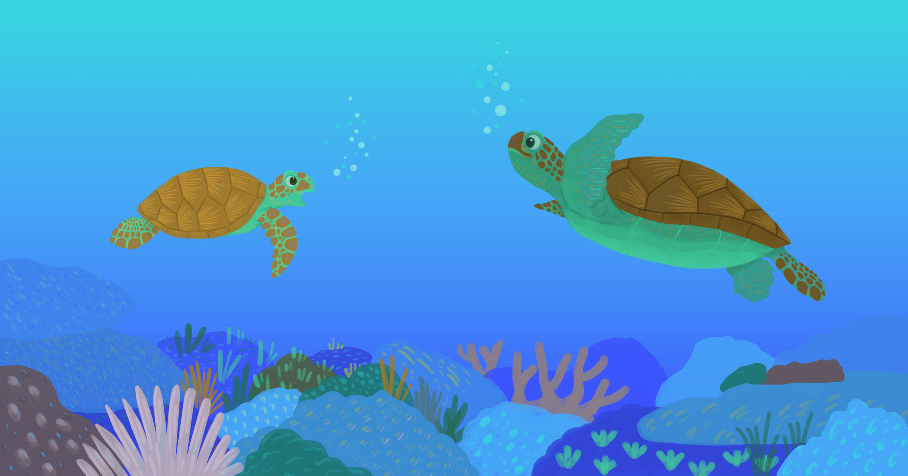 Monie The Green Sea Turtle