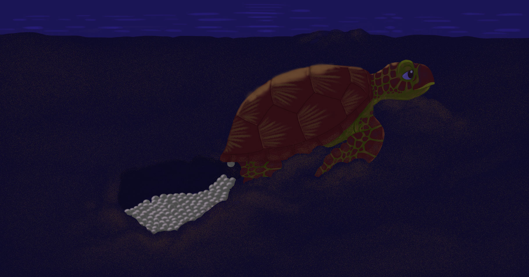 Monie The Green Sea Turtle Monie The Green Sea Turtle