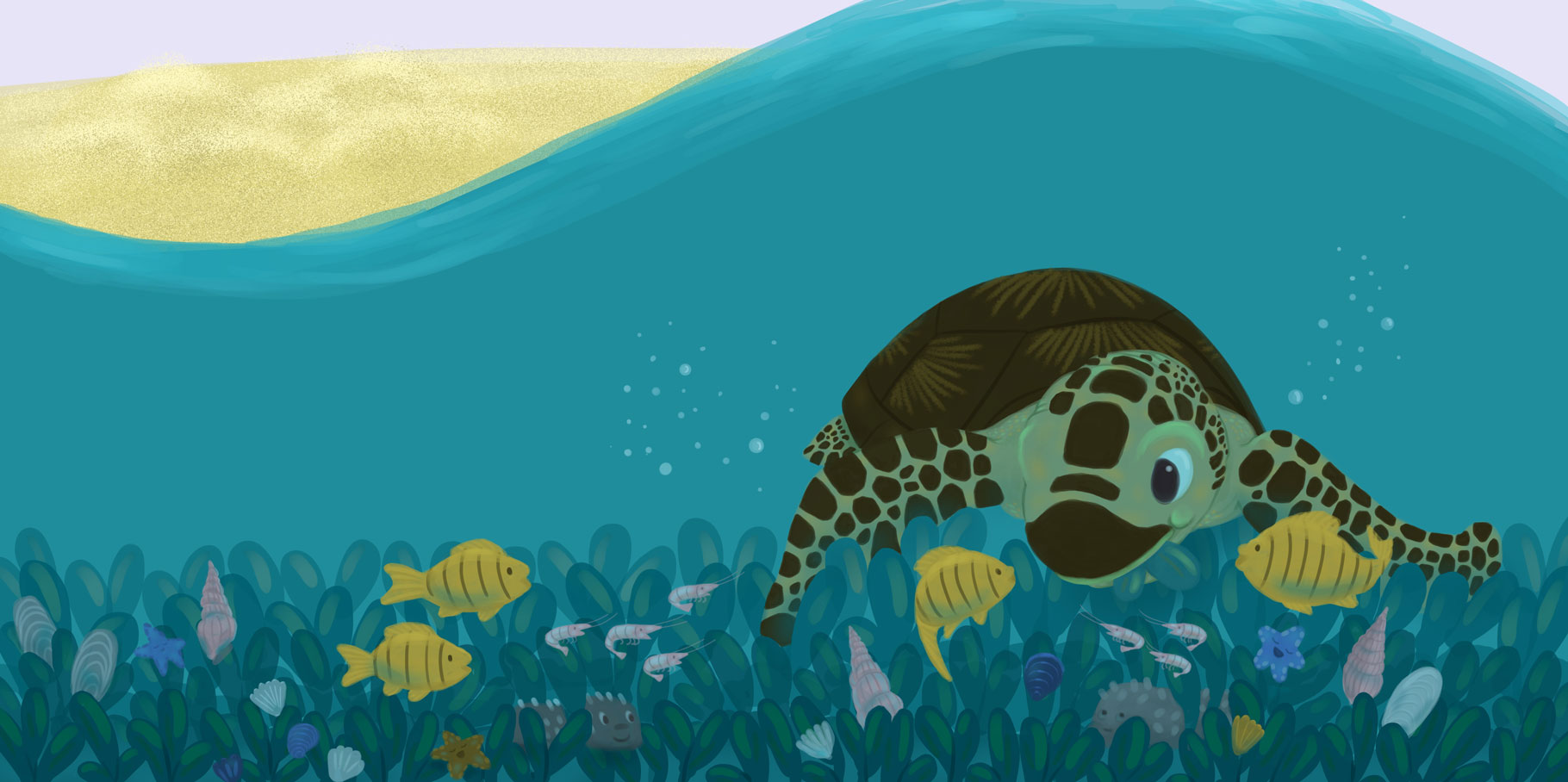 Monie The Green Sea Turtle