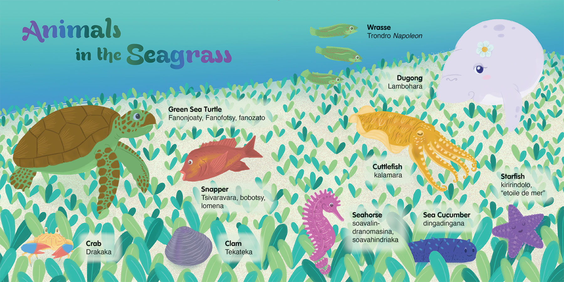 Vola, Ravo, and Tiana Discover the Seagrass
