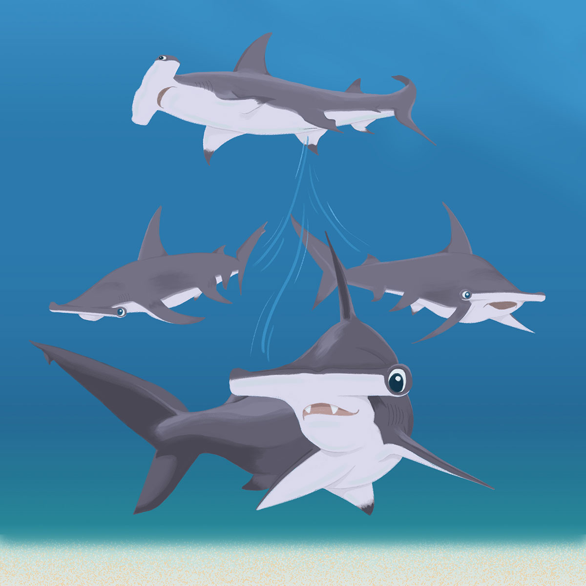 Soa The Great Hammerhead Shark Soa The Great Hammerhead Shark