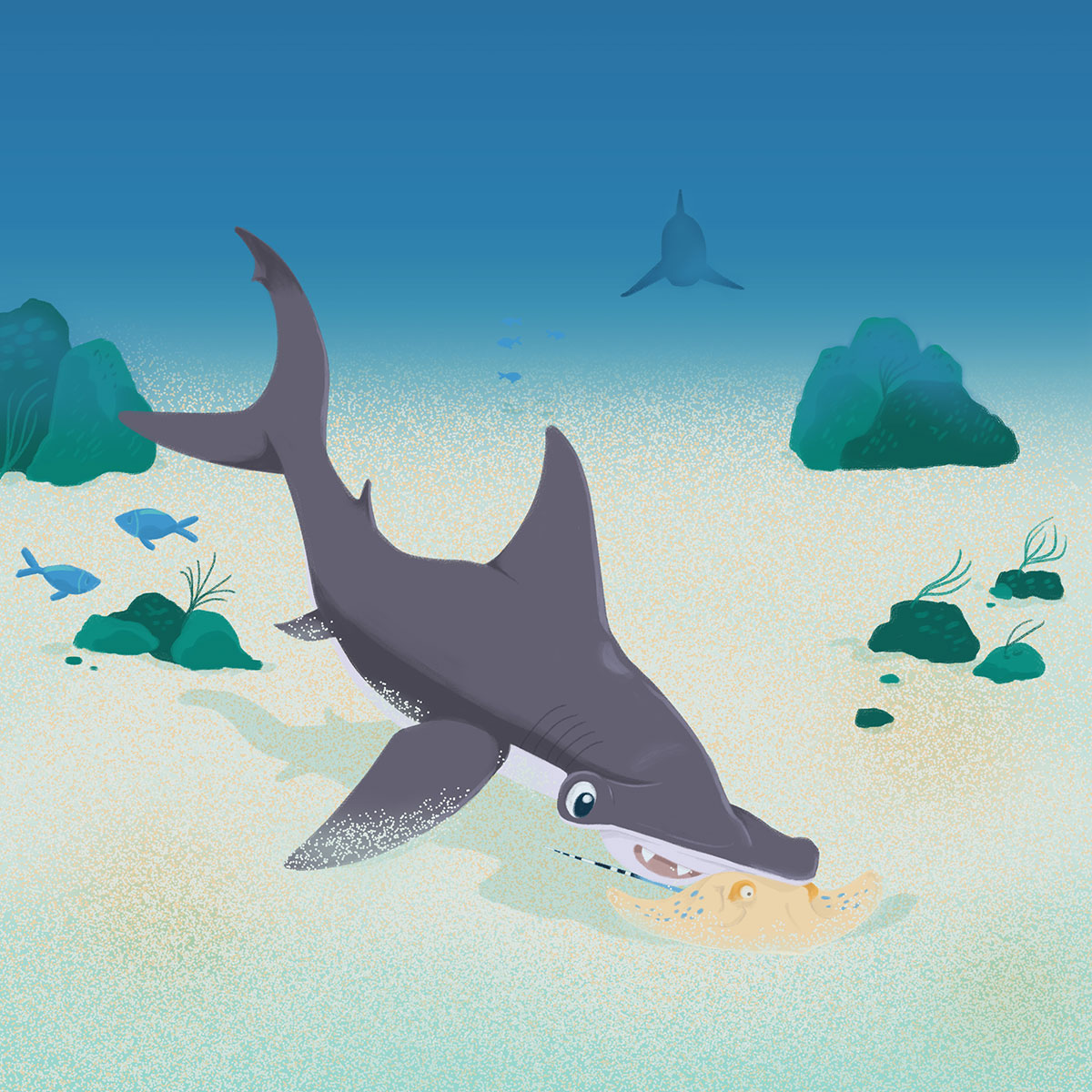 Soa The Great Hammerhead Shark Soa The Great Hammerhead Shark