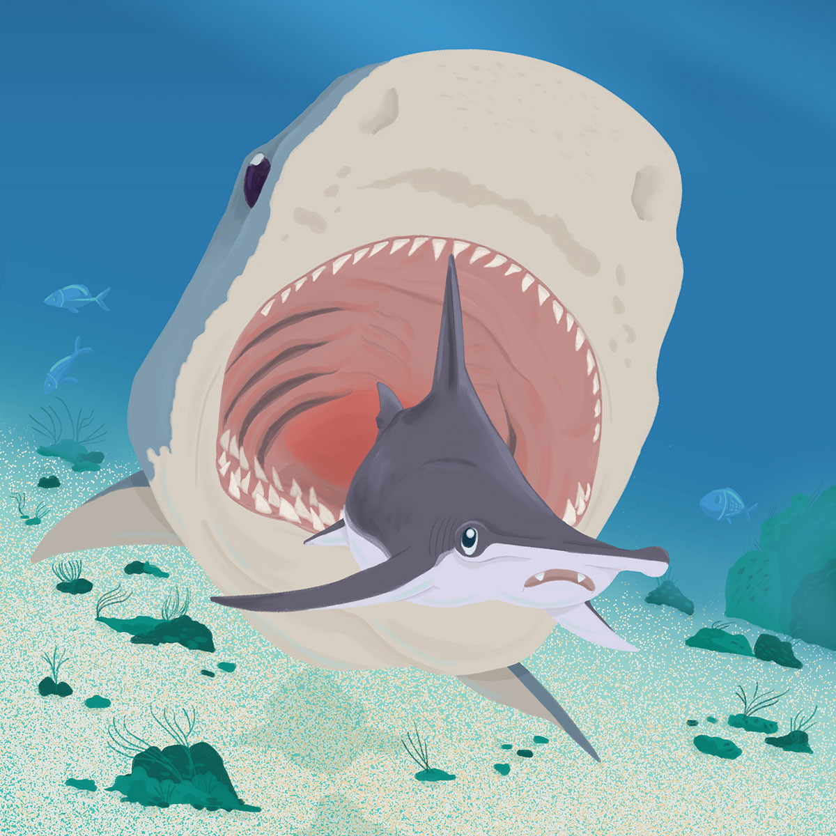 Soa The Great Hammerhead Shark Soa The Great Hammerhead Shark