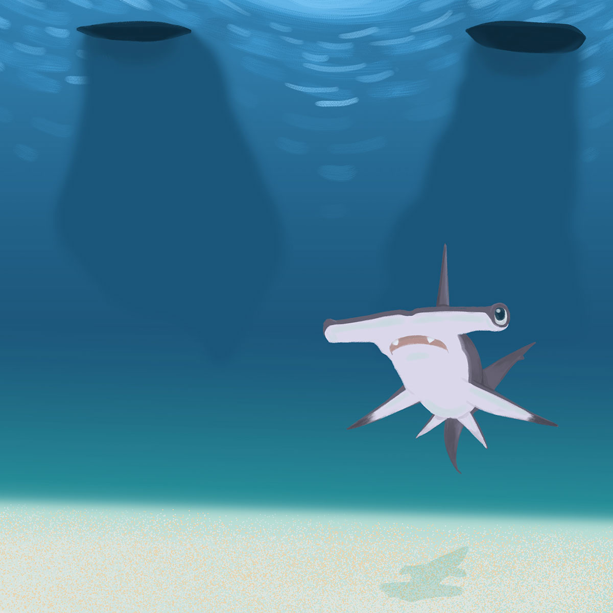 Soa The Great Hammerhead Shark Soa The Great Hammerhead Shark