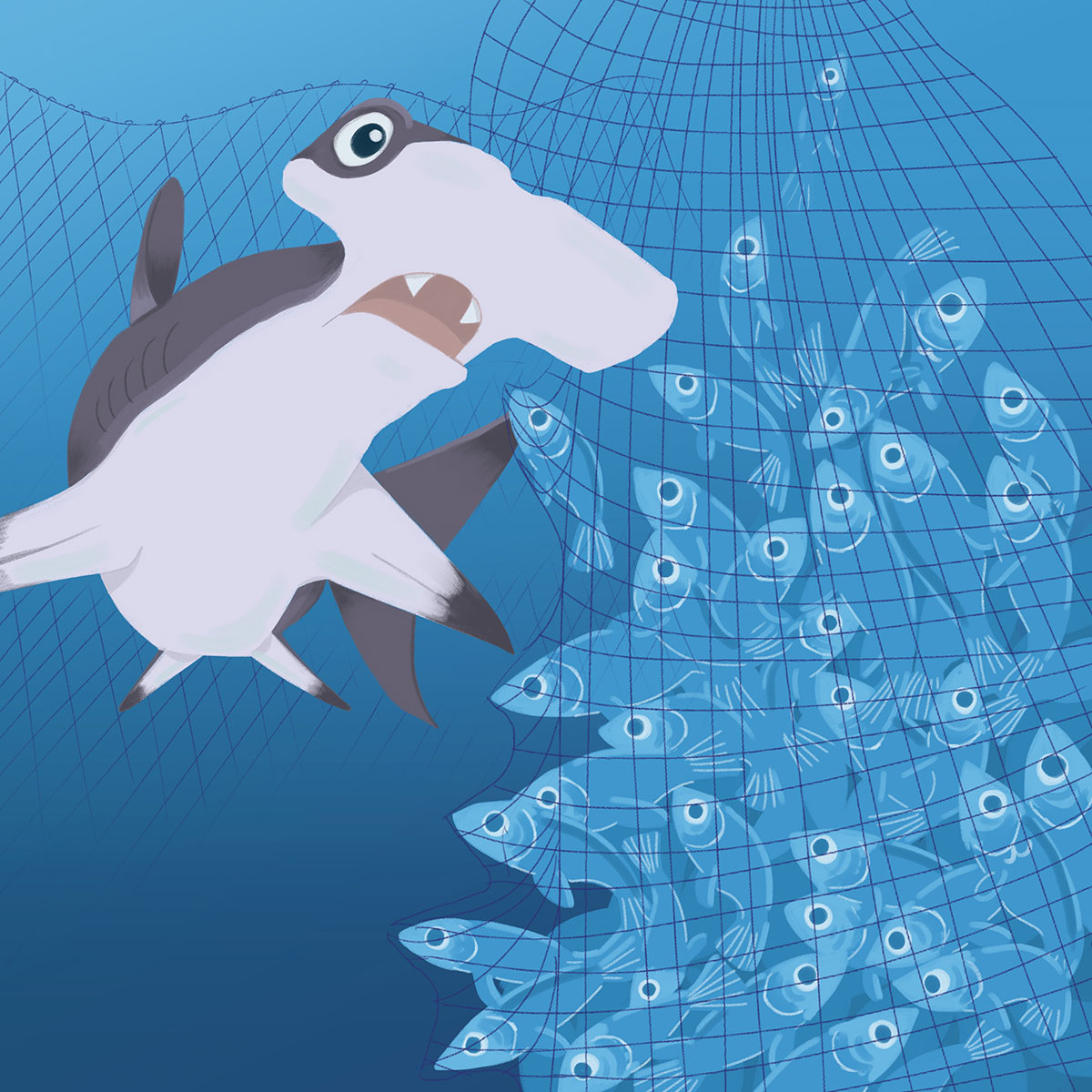 Soa The Great Hammerhead Shark Soa The Great Hammerhead Shark