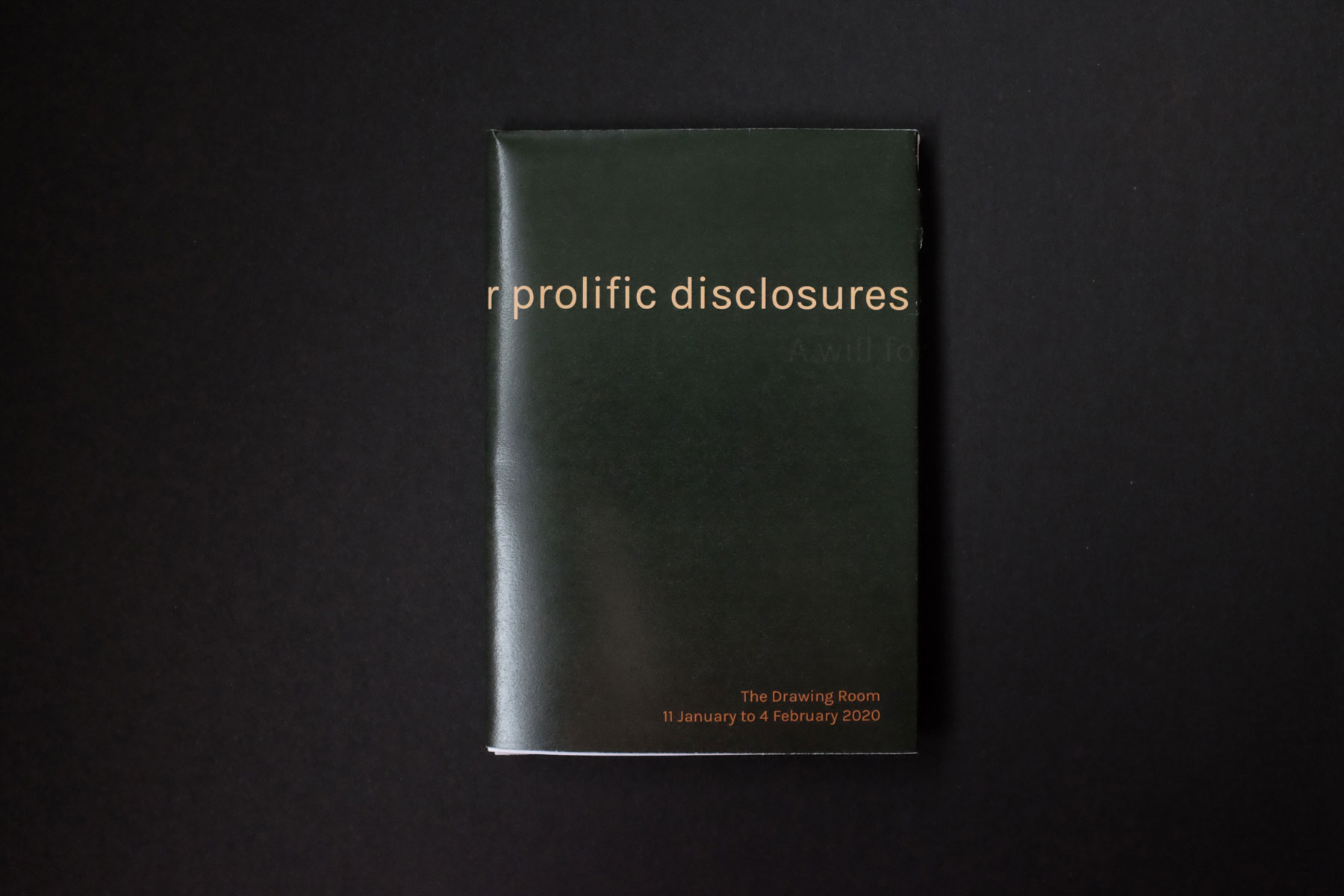 A will for prolific disclosures: a zine