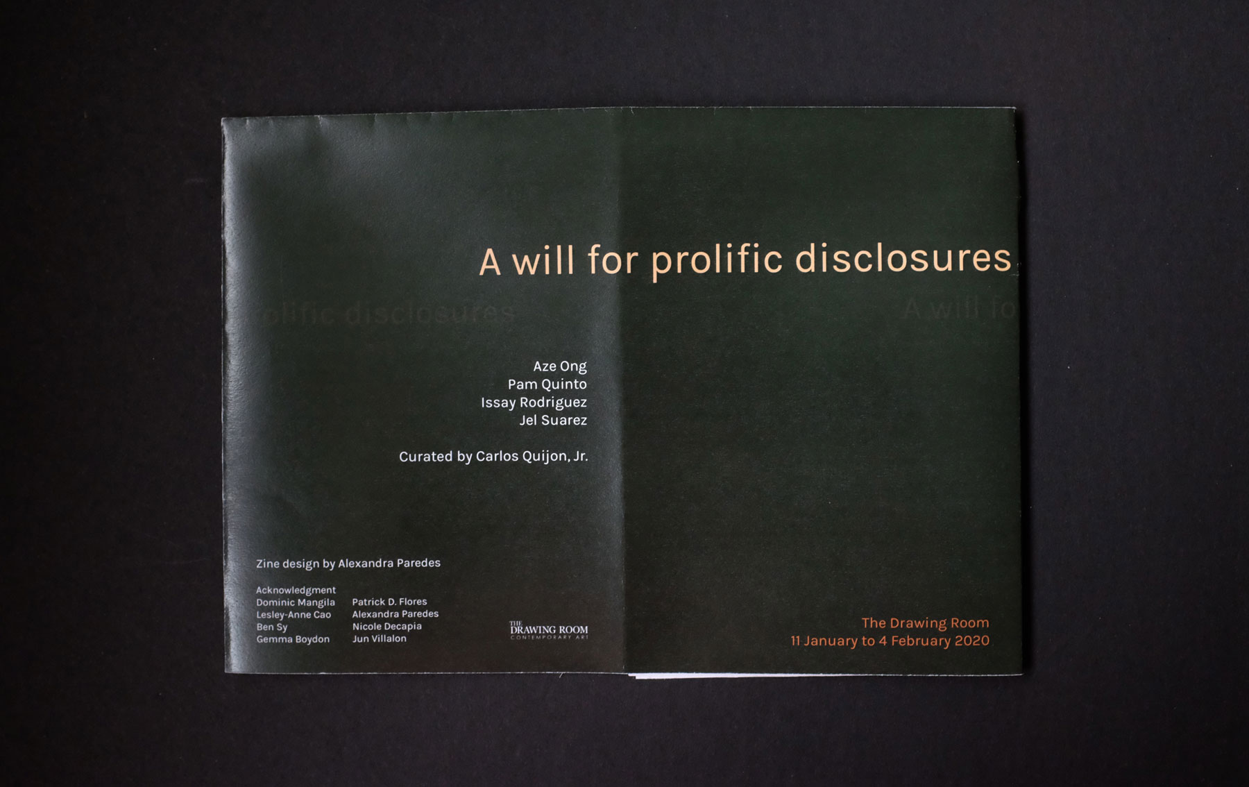 A will for prolific disclosures: a zine
