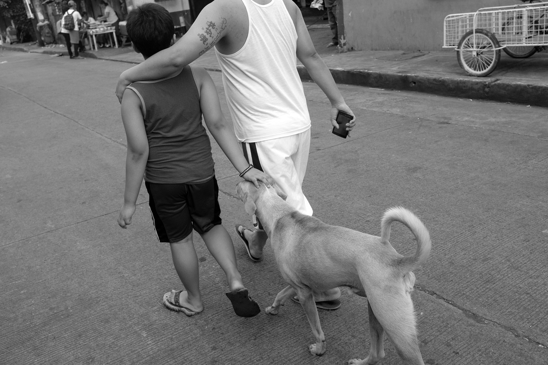 Street Dogs of Manila