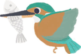 stc-kingfisher-r2 stc-kingfisher-r2