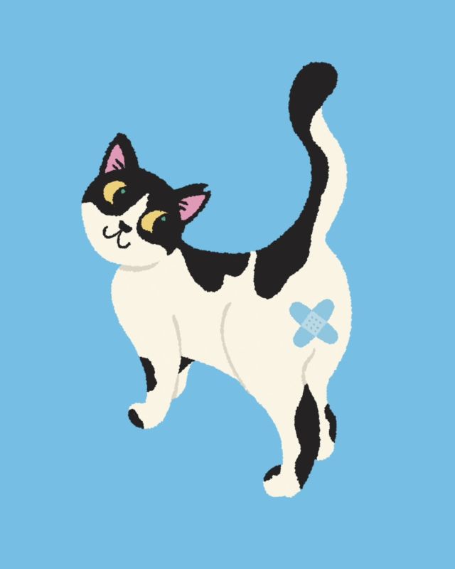 Drawings for my neighborhood community cat volunteer group. They work really, REALLY hard at TNVR* and cat care so this is the least I could do. Cat #1 has been neutered! And Cat #2 says please leave the comm cats alone ☺️

*Trap, Neuter, Vaccinate, Return: the best and most humane way to manage community cat populations.